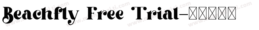 Beachfly Free Trial字体转换